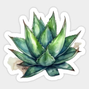 Desert Aloe Plant Sticker